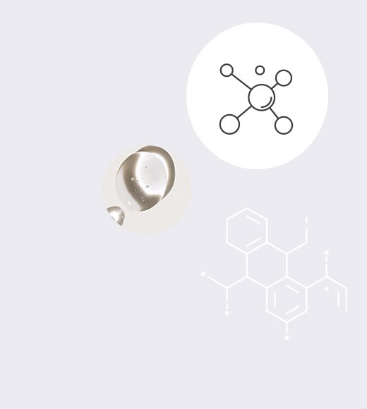 modulo d'ordine 2
